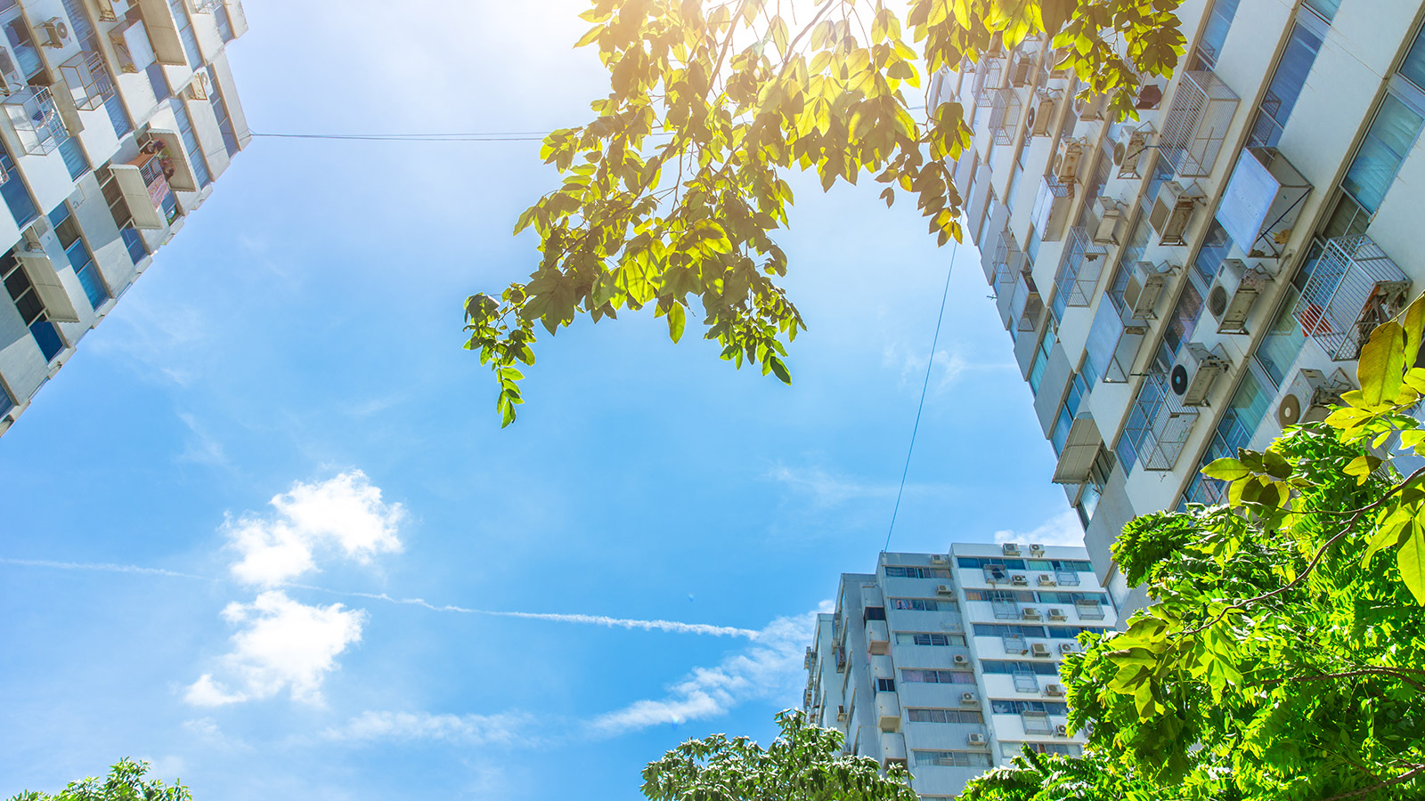 Coronavirus y sostenibilidad